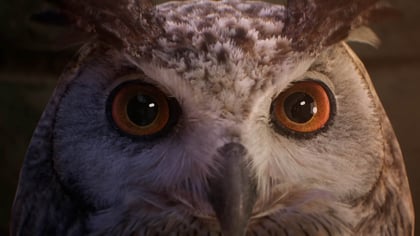 Hogwarts Legacy dostáva ďalší trailer