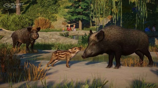 Do Planet Zoo mieri ďalšie rozšírenie
