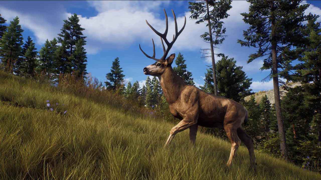 Way of the Hunter, slovenská hra vyjde už v auguste
