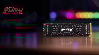 Kingston Fury Renegade