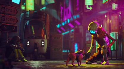 Stray - ilustračné foto