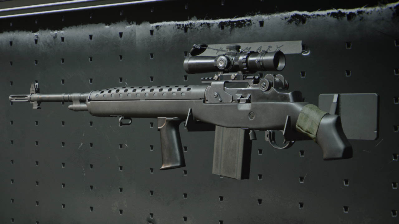 DMR v Call of Duty