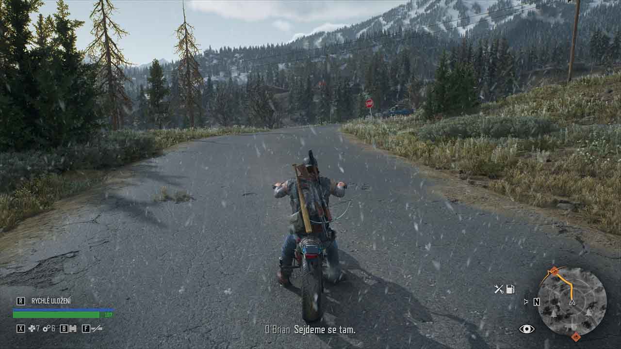 Days Gone