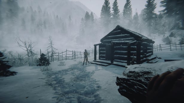 Hra Sons of the Forest