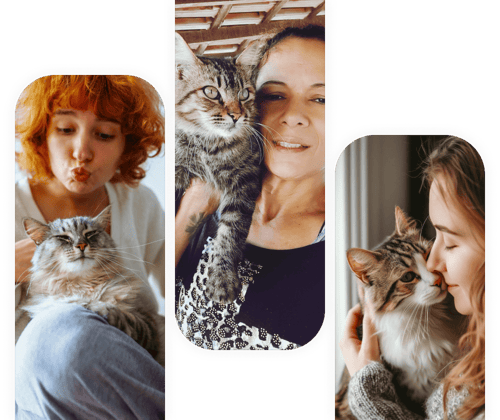 garde chat Livry-Gargan