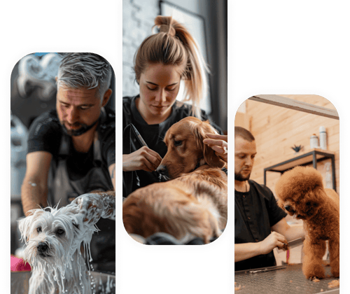 toilettage chien Pantin