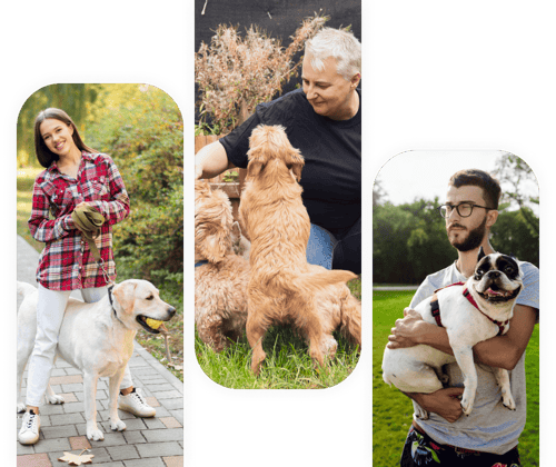 garde chien Ézanville