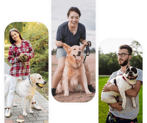 promeneur chien Lésigny