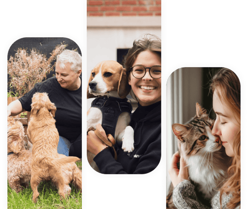 garde animaux Palaiseau