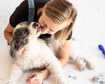 Op zoek naar flexibele jobs als Vacature hondentrimmer?