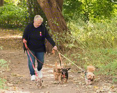 Op zoek naar flexibele jobs als Vacature dogwalker?