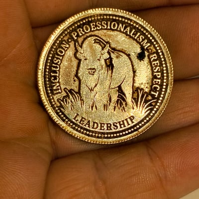 York Region Paramedic Services Leadership Challenge Coin - Image 2 of 2