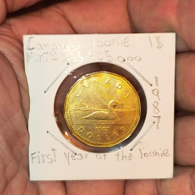 Canadian one-dollar coins (loonie), 1987 – first year issue - Image 1 of 3