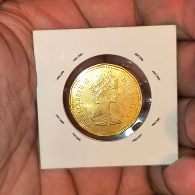 Canadian one-dollar coins (loonie), 1987 – first year issue - Image 3 of 3