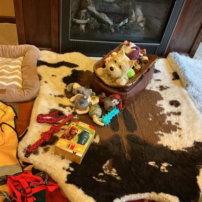 Dog Toys, Accessories, Bedding and Decor - Image 1 of 11