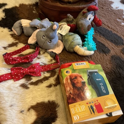 Dog Toys, Accessories, Bedding and Decor - Image 5 of 11