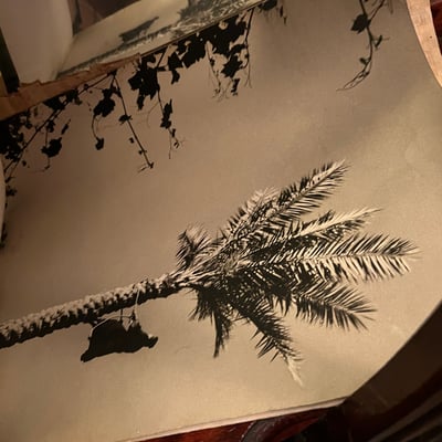 Egyptian-themed decorative art and artifacts - Image 6 of 14