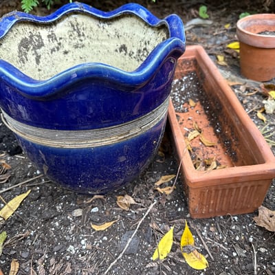 Terracotta pots and a blue ceramic planter - Image 2 of 6