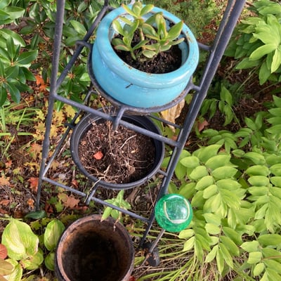 metal plant stand with pots - Image 2 of 2