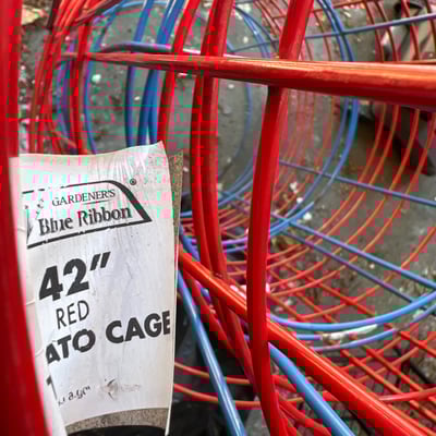 Red and blue metal tomato cages - Image 3 of 3