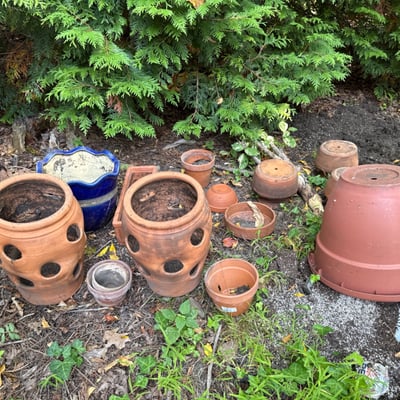 Terracotta pots and a blue ceramic planter - Image 3 of 6