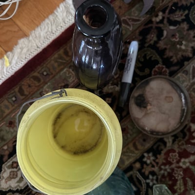 Vintage glass jars, bottles, and canning hardware - Image 3 of 10