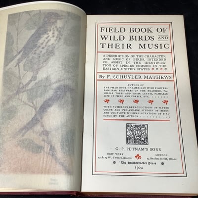 Antique Science & Nature Books - Image 18 of 19