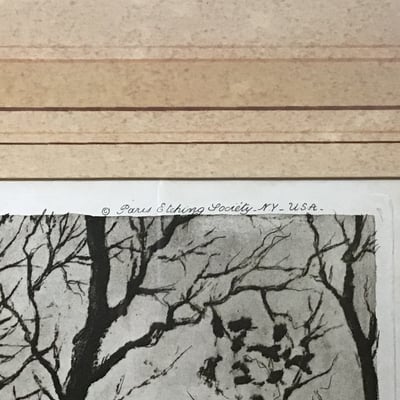 Barnaix Framed Color Etching - Image 6 of 9