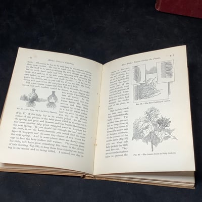 Antique Science & Nature Books - Image 15 of 19