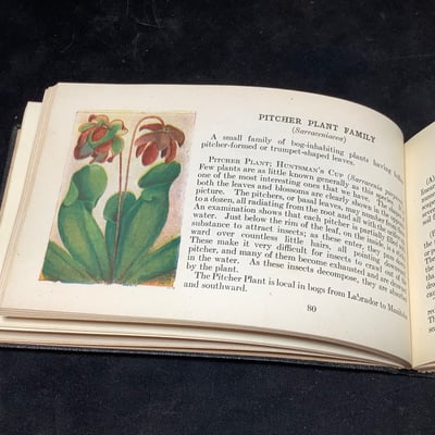 Antique Science & Nature Books - Image 12 of 19