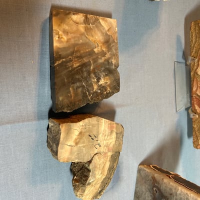 Geodes and Agate Slices Collection - Image 5 of 6