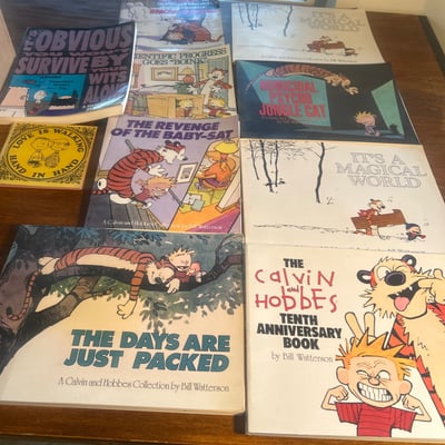 Calvin and Hobbes comic book collection - Image 1 of 10