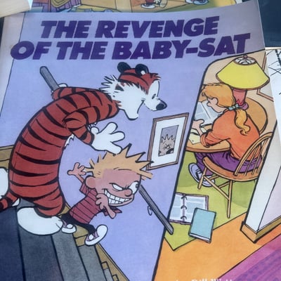 Calvin and Hobbes comic book collection - Image 6 of 10