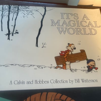 Calvin and Hobbes comic book collection - Image 2 of 10