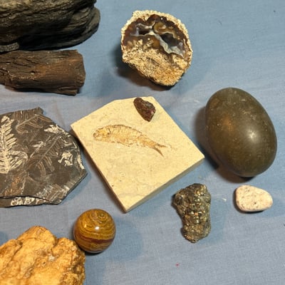 Rock and mineral fossil and geode collection, Rock Like Fountain - Image 1 of 7