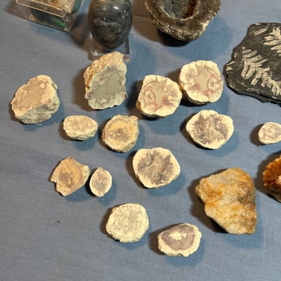 Rock and mineral fossil and geode collection, Rock Like Fountain - Image 6 of 7