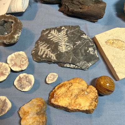 Rock and mineral fossil and geode collection, Rock Like Fountain - Image 5 of 7