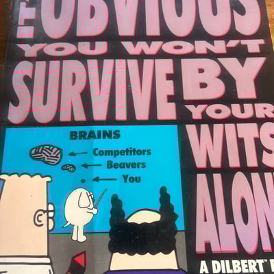 Calvin and Hobbes comic book collection - Image 10 of 10