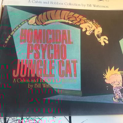 Calvin and Hobbes comic book collection - Image 3 of 10