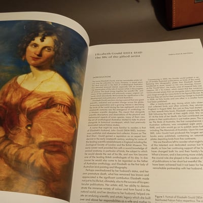 For the Bird Watchers - Image 4 of 10