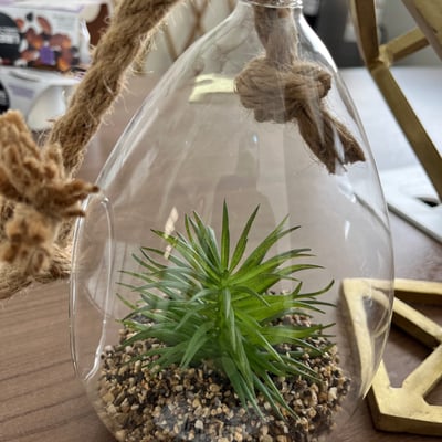 Image #2 for item Decorative Globe, Glass Hanging Terrarium, and Burlap Pineapple Vase 