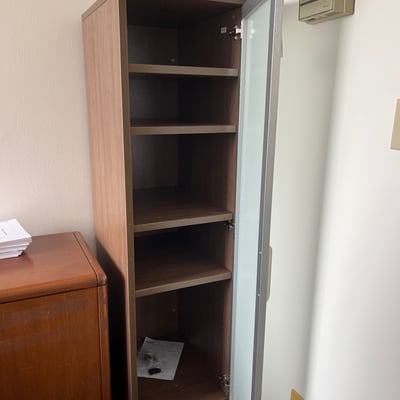 Image #0 for item Wooden Cabinet with Frosted Glass Door 