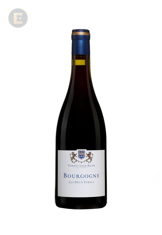 Domaine Thibault Liger-Belair Bourgogne 'Les Deux Terres' 2019 750 Ml