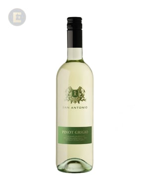 SAN ANTONIO PINOT GRIGIO IGT VENETO     