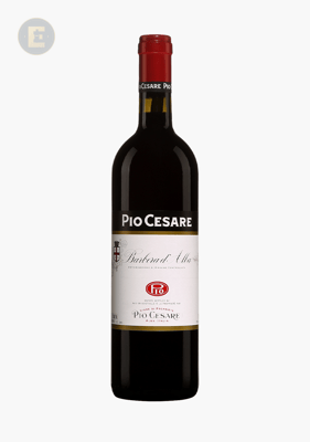 PIO BARBERA D'ALBA                      