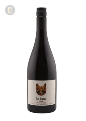 MAIJA PINOT NOIR                        