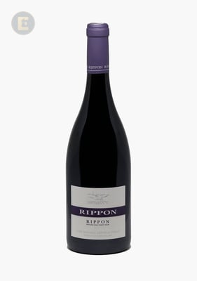 MATURE VINE PINOT NOIR                  
