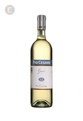 PIO GAVI                                
