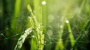 Green SCM: Revolutionizing Sustainable Supply Chain Practices