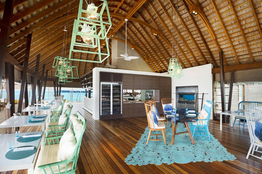 w maldives